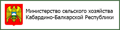 Client 2